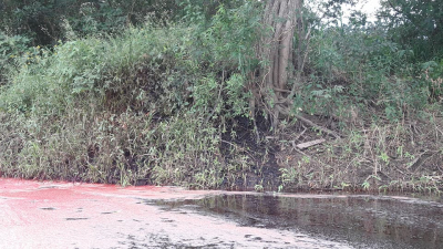 Vecinos preocupados por “desechos químicos” lanzados al río Negro