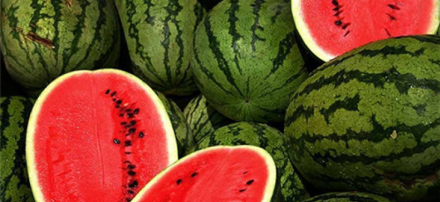 sandia.jpg
