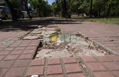 La Plaza Belgrano, su deterioro y todas  las promesas que no se cumplen