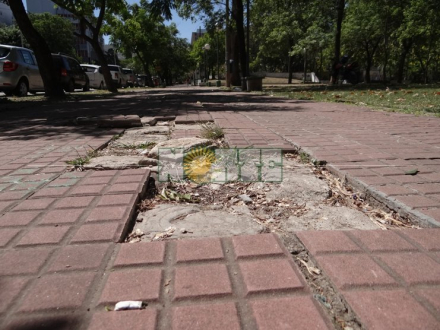 plaza Belgrano 2.jpg