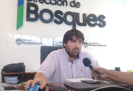 BALANCE-BOSQUES.jpg