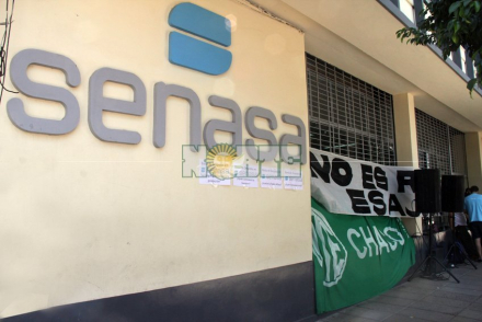 Senasa Chaco.jpg