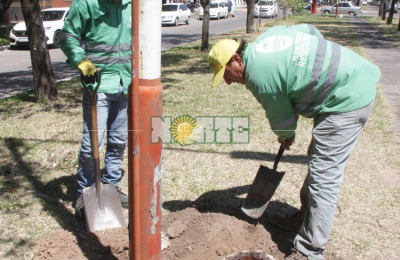 Reacondicionan las columnas de luz en Laprida, pero sobre Ávalos hay otras en muy mal estado
