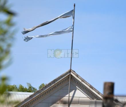 bandera3.jpg copy