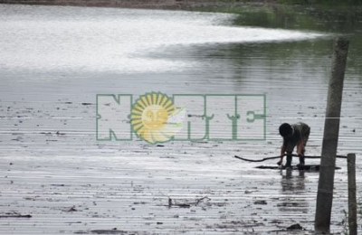 Con el agua “en la puerta”, las familias ribereñas esperan el pico de la crecida