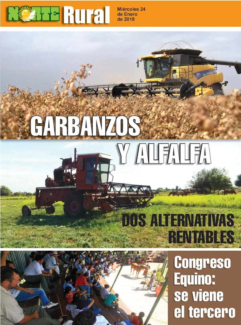 Garbanzos y alfalfa: dos alternativas rentables
