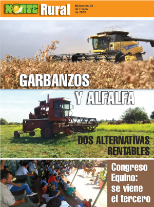 Garbanzos y alfalfa: dos alternativas rentables