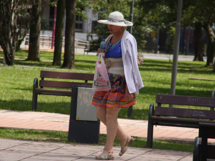 CALOR5.jpg