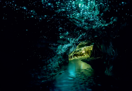 Cueva Nueva Zelanda.jpg