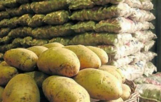 "Frutas y verduras son los únicos productos que bajan su precio tras un tiempo"