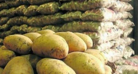 "Frutas y verduras son los únicos productos que bajan su precio tras un tiempo"