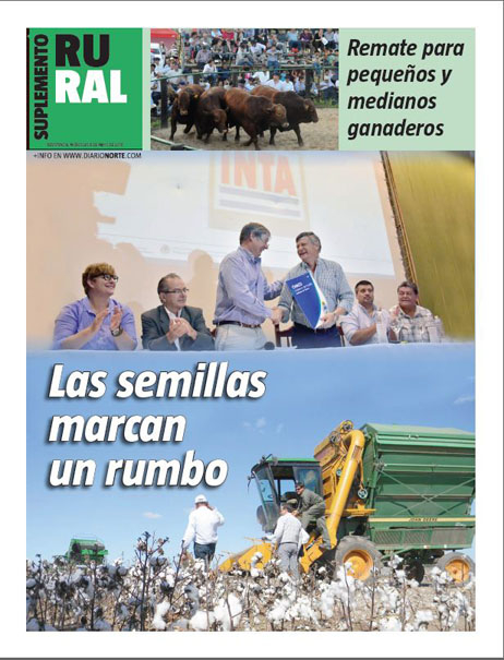 Las semillas marcan un rumbo