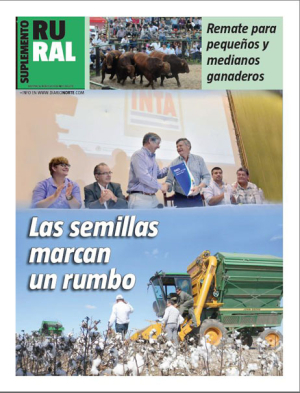 Las semillas marcan un rumbo