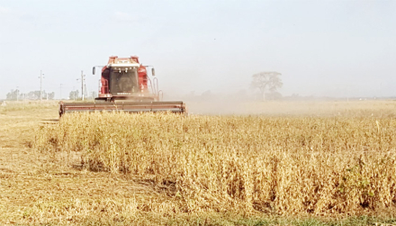 rural3.jpg