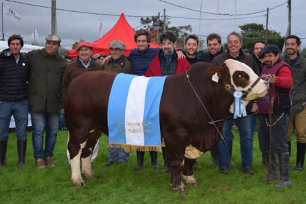 GRAN-CAMPEON-MACHO-BRAFORD.jpg