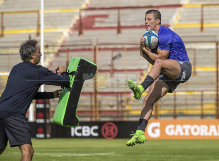 pumas2.jpg