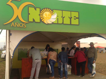 58norte-auto-2.jpg