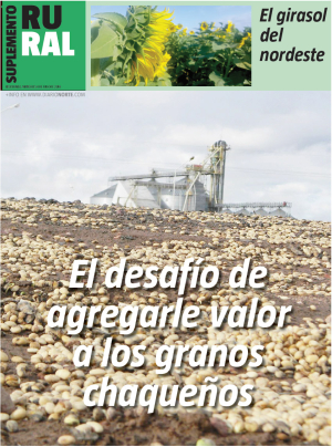 El desafío de agregarle valor a los granos chaqueños