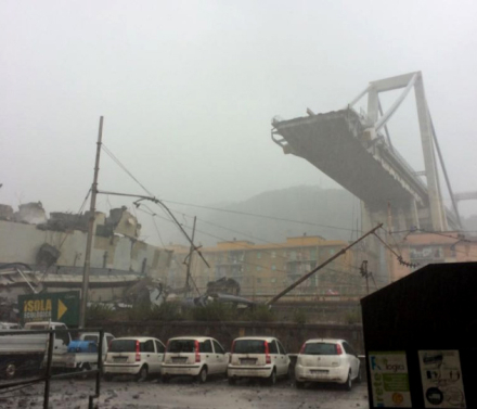 puente4.jpg