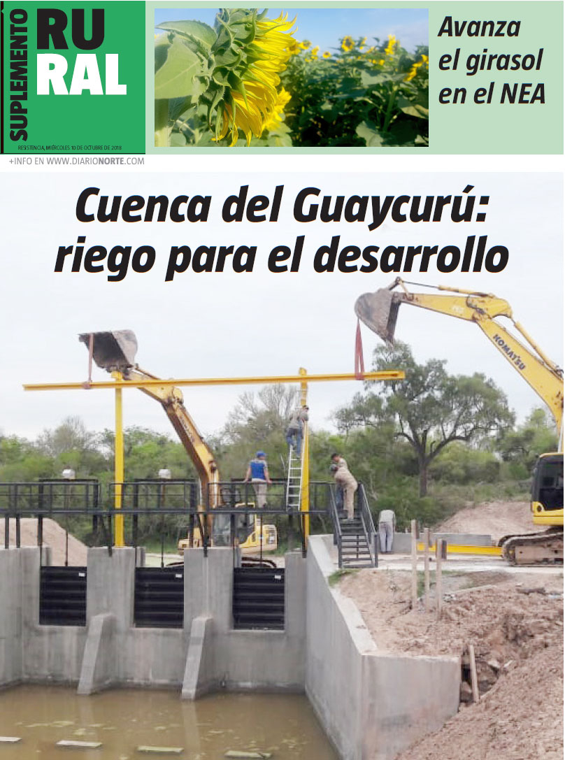 Cuenca del Guaycurú: riego para el desarrollo