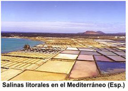 escolar7.jpg