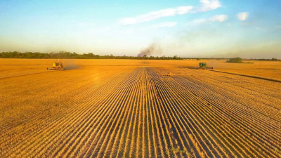 El grupo Agroperfiles critica que la política nacional viola compromisos con la producción