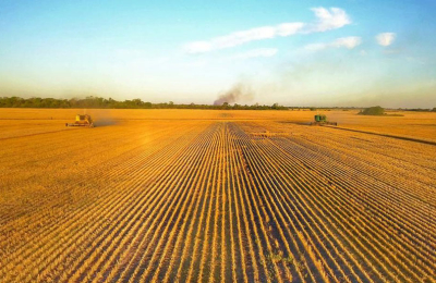 El grupo Agroperfiles critica que la política nacional viola compromisos con la producción