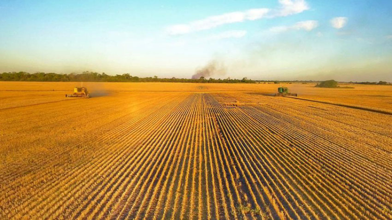 El grupo Agroperfiles critica que la política nacional viola compromisos con la producción