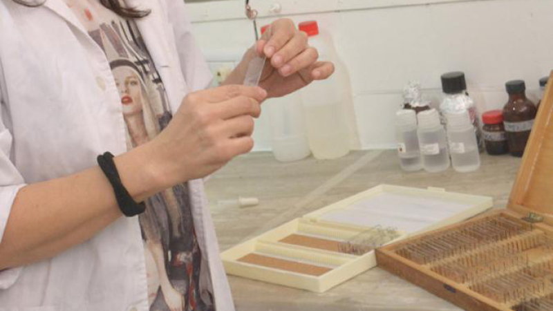 Una feria de ciencias escolar terminó con varios heridos en Resistencia