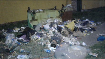 basural 4.JPG