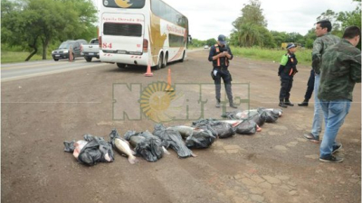 Insólito: decomisaron 180 kilos de surubí que eran transportados en un colectivo de larga distancia