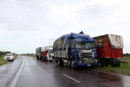 camion2.jpg