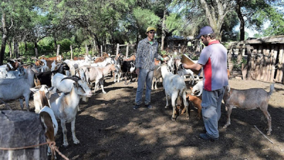 Resistiendo en pequeñas superficies para no desaparecer