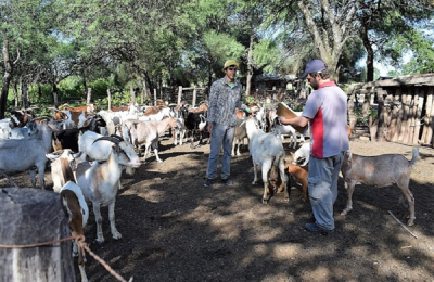 Resistiendo en pequeñas superficies para no desaparecer