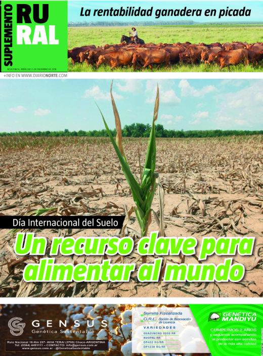Día Internacional del Suelo: un recurso clave para alimentar al mundo