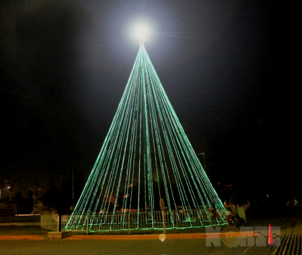 arbol2.jpg