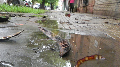 Abundante lluvia con fuertes vientos e intensa actividad eléctrica en toda la provincia