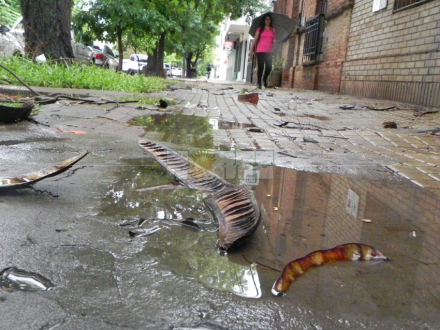 lluvia6.jpg
