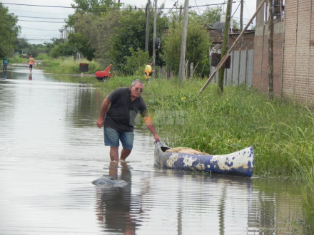 Carpincho Macho-vecinos inundados.JPG