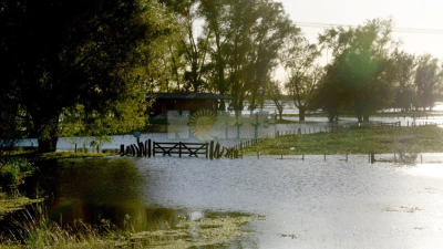 La CAME pidió que se declare emergencia económica y agropecuaria en las provincias afectadas por las inundaciones