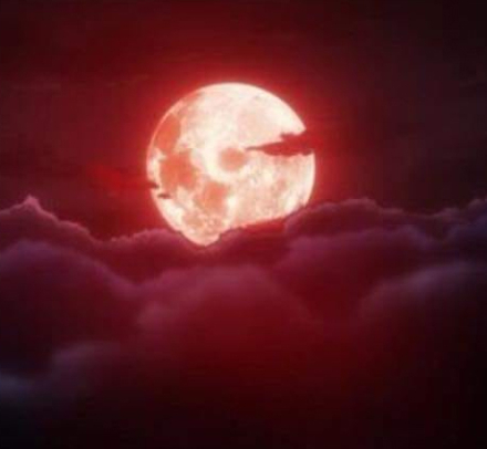 luna04.jpg