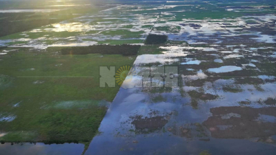 El gobierno provincial solicitará la emergencia agropecuaria para todo el territorio chaqueño
