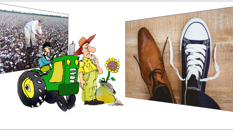 Los zapatos cambiados