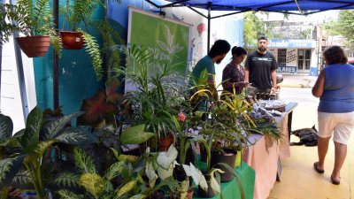Sábado de Feria Cultiva en el Cecual