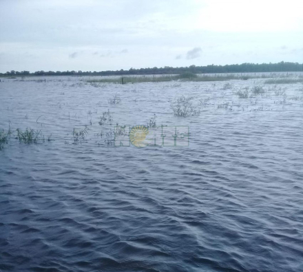 lluvia SP 2.jpg