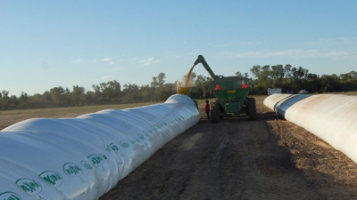 El agro demandará 400.000 silobolsas para almacenar granos