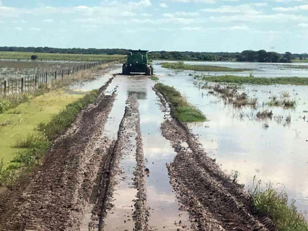 AGUA-BAJA-HERMOSO-CAMPO.jpg