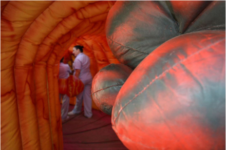 colon gigante 4.JPG