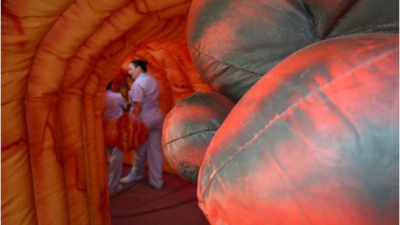 Instalan un colon inflable gigante para concientizar sobre el cáncer colorrectal