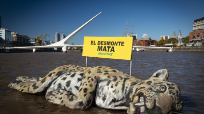 La impactante aparición de un "yaguareté muerto" en Puerto Madero